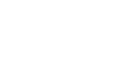 The Adventure Element
