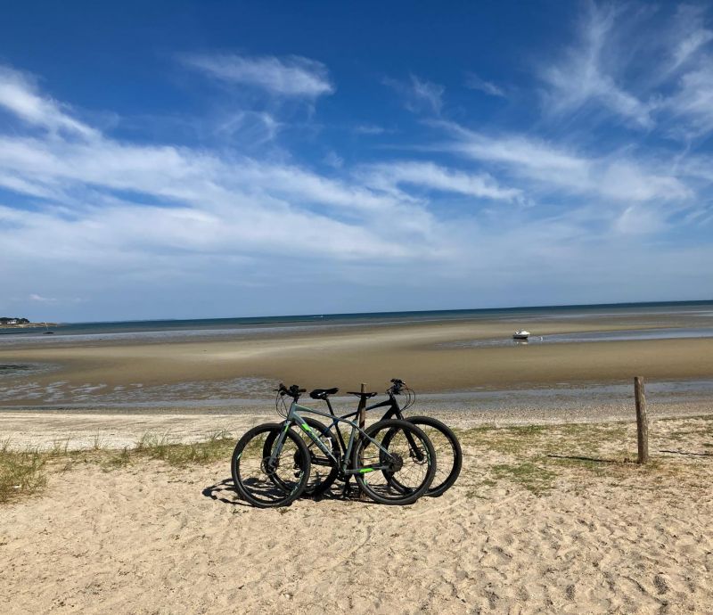 Training for a Triathlon: Hilary's Edition