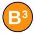 B3